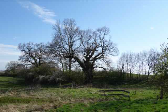 Ganz schön wild hier!